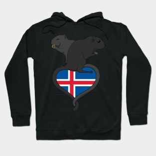 Gerbil Iceland (dark) Hoodie